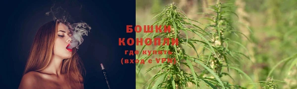 ГАЛЛЮЦИНОГЕННЫЕ ГРИБЫ Волгодонск