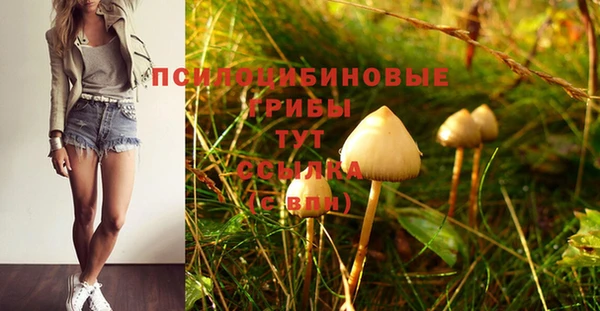 трава Уссурийск