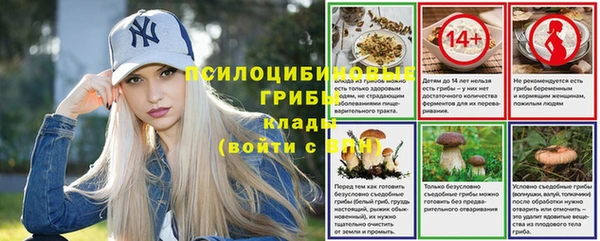 ГАЛЛЮЦИНОГЕННЫЕ ГРИБЫ Волгодонск
