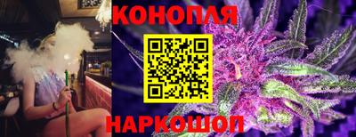 МДПВ Волжск