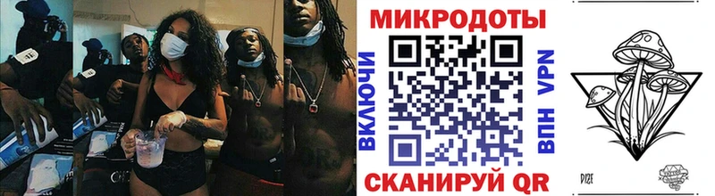 закладка  Гурьевск  Псилоцибиновые грибы мухоморы 