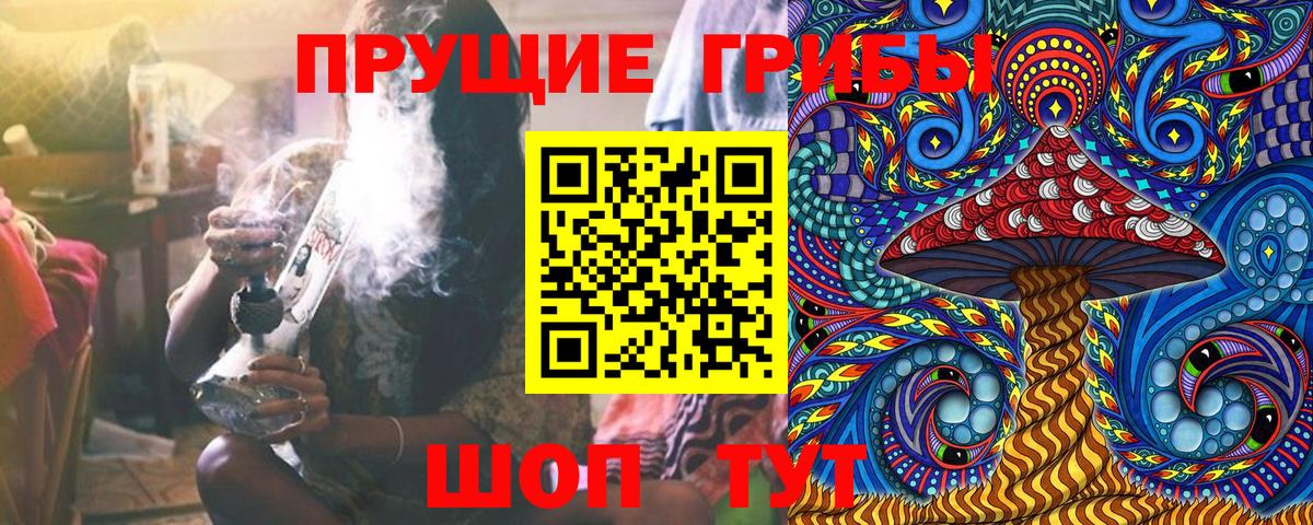 Галлюциногенные грибы GOLDEN TEACHER  Вход с VPN  Гурьевск 