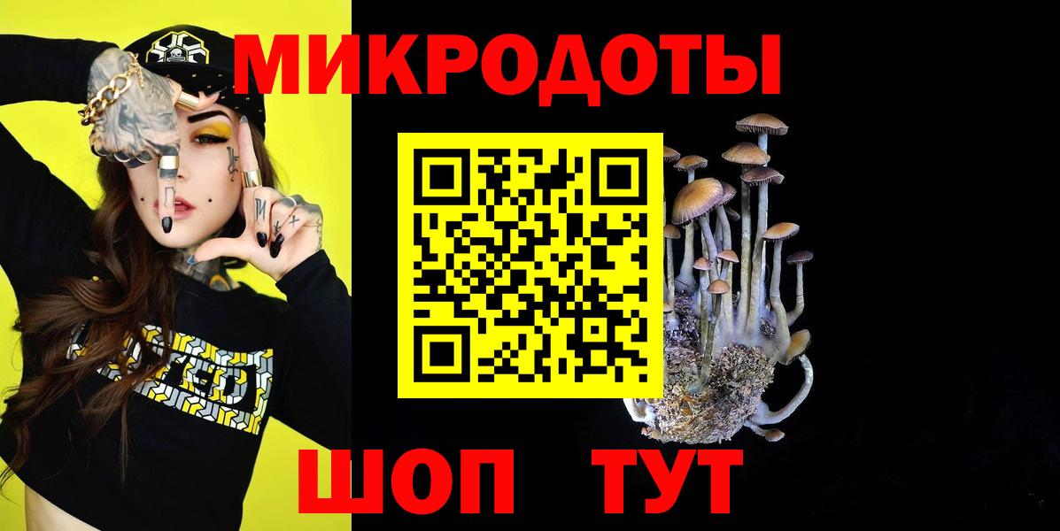 Галлюциногенные грибы Psilocybe  Псилоцибиновые грибы Psilocybine cubensis  Гурьевск 