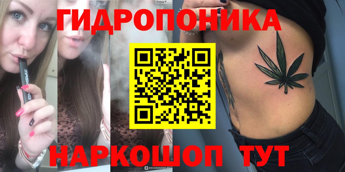 Конопля гибрид Гурьевск