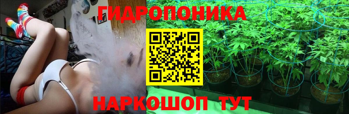 Марихуана планчик  Каннабис THC 21%  Шишки марихуана MAZAR  Каннабис планчик  Гурьевск 